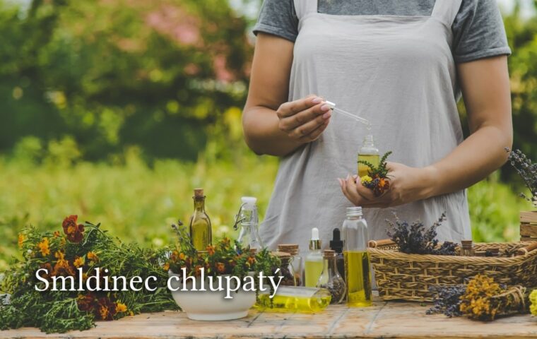 Smldinec chlupatý: Poznejte nejlepší účinky